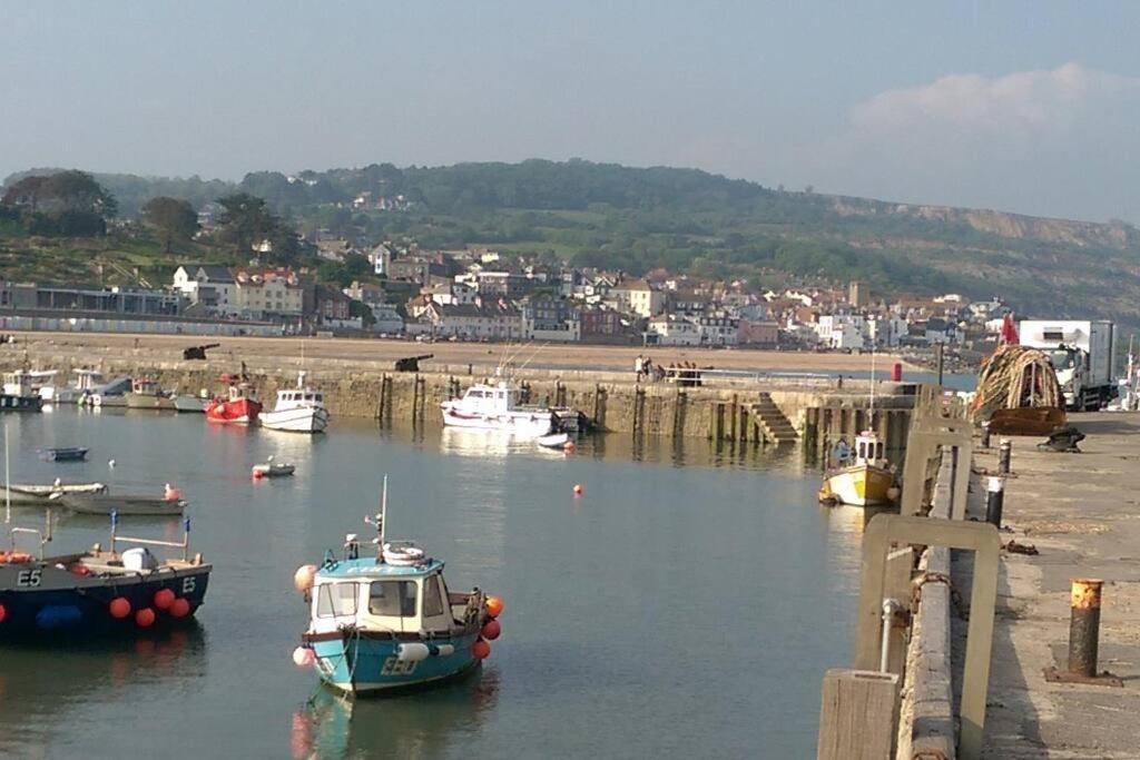 Private Apartment, Parking, Sea And Country Views Lyme Regis Bagian luar foto